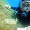 Picture taken during the dive