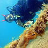 Picture taken during the dive