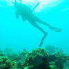 Picture taken during the dive