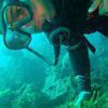 Picture taken during the dive