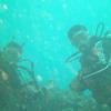 Picture taken during the dive