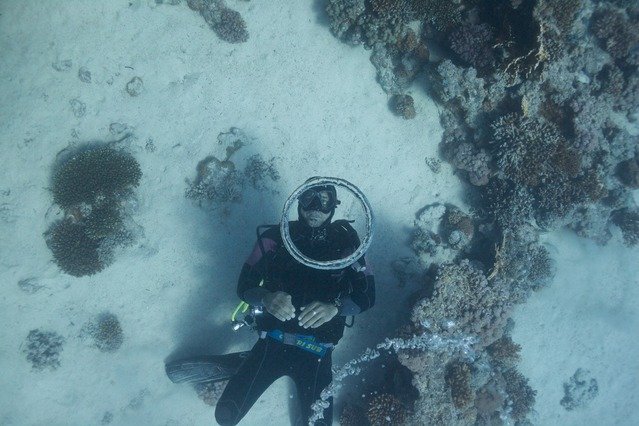Diving in Egypt, Hurghada - By Arthur Chafonov
