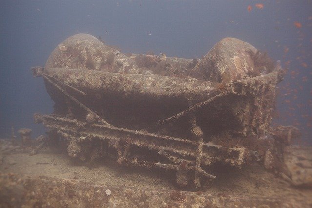 Dophin Diving Center - Dive Center in Egypt