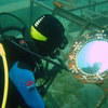 Picture taken during the dive