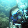 Picture taken during the dive