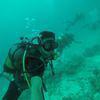 Picture taken during the dive