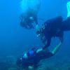 Picture taken during the dive