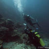 Picture taken during the dive
