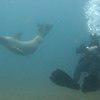 Picture taken during the dive
