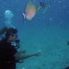 Picture taken during the dive