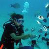 Picture taken during the dive