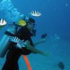 Picture taken during the dive