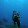 Picture taken during the dive