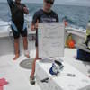 Picture taken during the dive