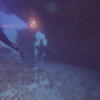 Picture taken during the dive