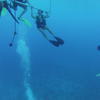 Picture taken during the dive