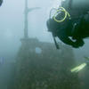 Picture taken during the dive