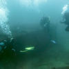 Picture taken during the dive