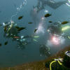 Picture taken during the dive