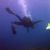 Picture taken during the dive