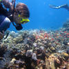 Picture taken during the dive
