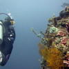 Picture taken during the dive