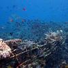 Picture taken during the dive
