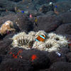 Picture taken during the dive