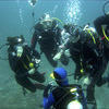 Picture taken during the dive