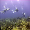 Picture taken during the dive