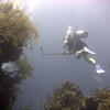 Picture taken during the dive