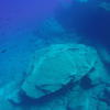 Picture taken during the dive