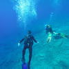 Picture taken during the dive