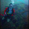Picture taken during the dive