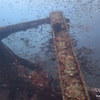 Picture taken during the dive
