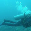 Picture taken during the dive