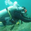 Picture taken during the dive