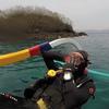 Picture taken during the dive