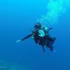 Picture taken during the dive