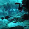 Picture taken during the dive