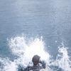 Picture taken during the dive