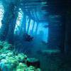 Picture taken during the dive