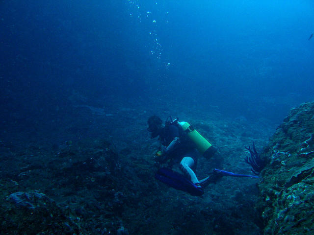 AquaMarine Diving-Bali - Dive Center in Indonésie
