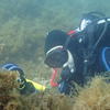 Picture taken during the dive
