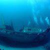 Picture taken during the dive