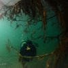 Picture taken during the dive