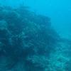 Picture taken during the dive