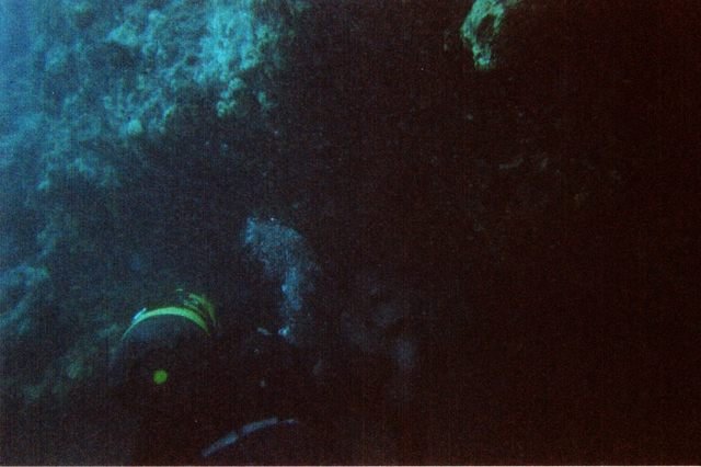 Diving Istria - Dive Center in Croatia