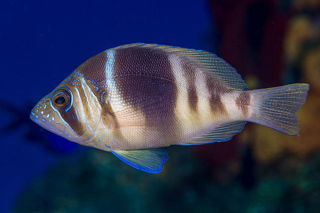 Salty Endeavors - Dive Center in Mexico