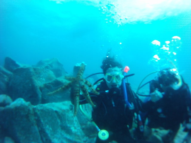 Scubayaci Tenerife - Dive Center in Espagne